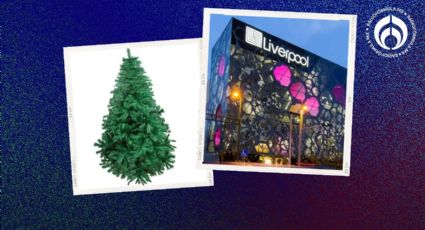 Liverpool hace súper ganga navideña: rebaja en 60% este frondoso árbol de Navidad