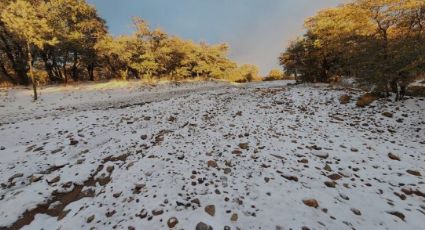 Primera tormenta invernal llegará a Sonora la última semana de noviembre, segun CEPC