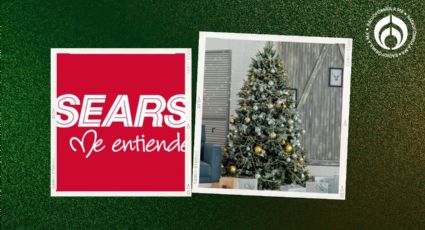 Sears: árboles de Navidad grandes y frondosos a menos de mil pesos antes del Buen Fin 2024