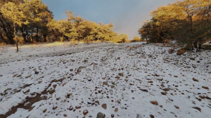 Primera tormenta invernal llegará a Sonora la última semana de noviembre, segun CEPC