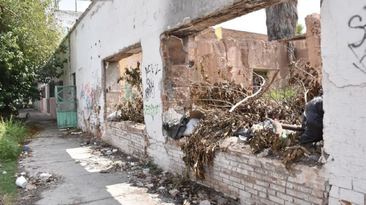 Exhortan a propietarios de terrenos a que los mantengan libres de basura