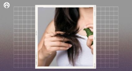 Cómo hacer shampoo para crecimiento del cabello: Te damos la receta para una melena espectacular