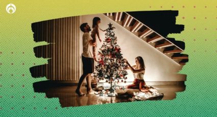 ¿Cuál es la fecha para poner el árbol de Navidad? Experto responde