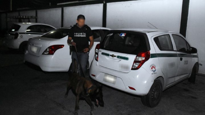 (VIDEO) Revelan drogas, armas y evidencias de tortura en operativo a sindicato de taxistas en Cancún