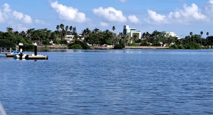 Ambientalistas exigen al Gobierno Municipal recuperar el manglar de Laguna del Carpintero