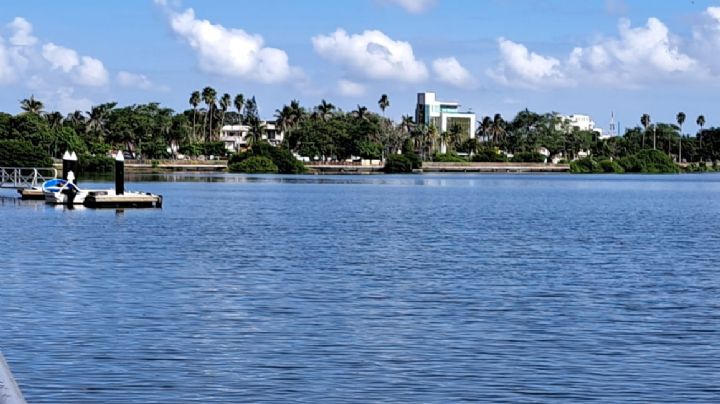 Ambientalistas exigen al Gobierno Municipal recuperar el manglar de Laguna del Carpintero