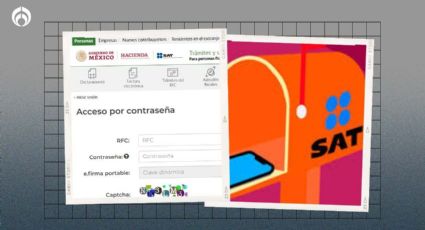 Buzón Tributario: SAT te multará con hasta 11 mil pesos por no activarlo