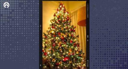 Árbol de navidad natural: 7 consejos para que esté verde y bonito por más tiempo