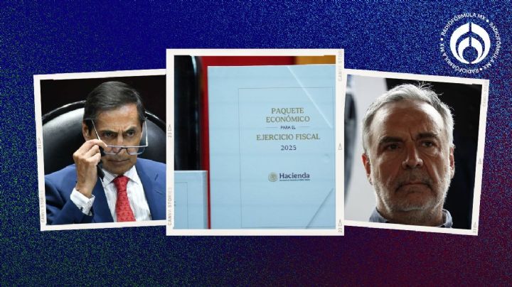 Despluman al INE y autónomos: Diputados reasignan presupuesto a salud y educación