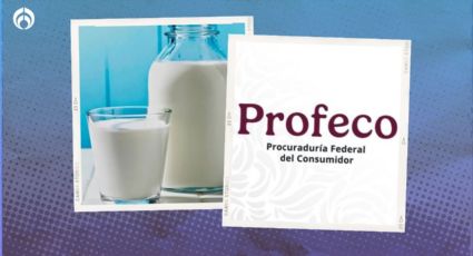 La leche light que reduce el aporte de calorías casi a la mitad y es barata, según Profeco