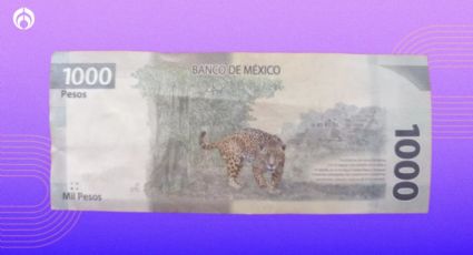 Características del billete de 1000 con el jaguar mexicano por el que dan 20 mil pesos