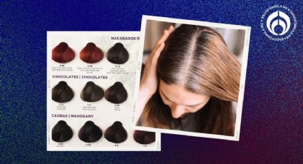 Los tonos de tinte ideales para disimular las canas y no tengas que retocar el color cada mes