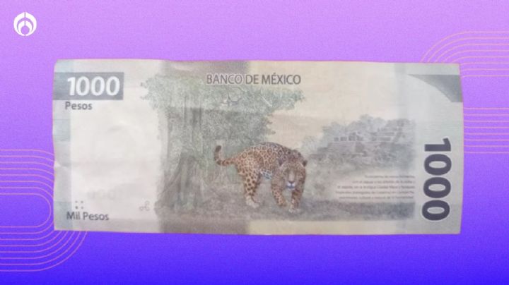 Características del billete de 1000 con el jaguar mexicano por el que dan 20 mil pesos