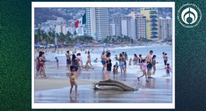 Ocupación hotelera en Acapulco es del 73.5%: empresarios piden plan de reconstrucción