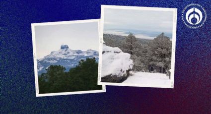 (FOTOS) Nevadas pintan de blanco estos estados... ¿dónde más nevará este 24 de diciembre?