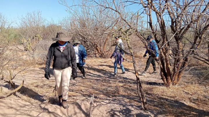 Concluye un año triste y activo para las Madres Buscadoras: hallan 50 osamentas en BCS