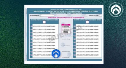 Elección judicial: comisión del INE aprueba boletas para elegir jueces y ministros