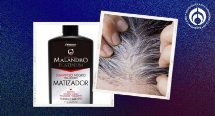 Bodega Aurrera tiene estos champús y jabones que sí funcionan para cubrir las canas en menos de $300