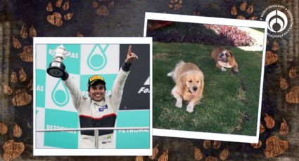 El día que Checo Pérez dedicó un podio de F1 a Frida, su perrita que acababa de fallecer (VIDEO)