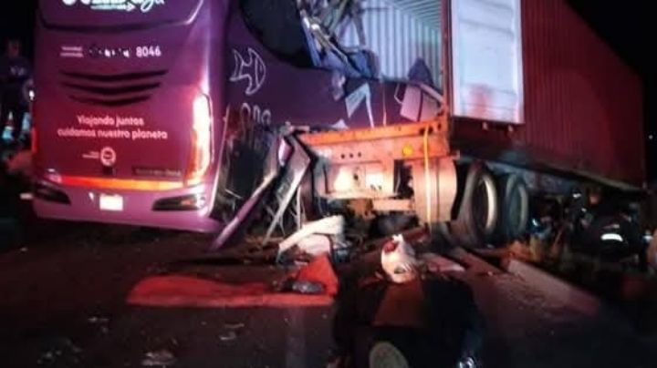 Fatal accidente en Veracruz: choque entre tráiler y autobús deja 7 muertos y 12 lesionados