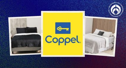 Coppel: 6 cobertores con borrega para diferentes tamaños de cama que están baratísimos