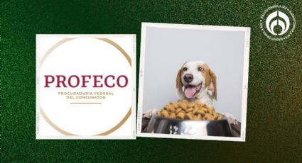 Las croquetas para perro de $58 por kilo con más 'carne' y aval de Profeco; tendrán heces más duras