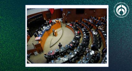 Senado aprueba Ley de Ingresos para el Ejercicio Fiscal 2025; pasa al Ejecutivo