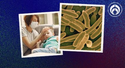 Bacteria klebsiella oxytoca: ¿cuáles son los síntomas de la infección que ‘acecha’ en México?