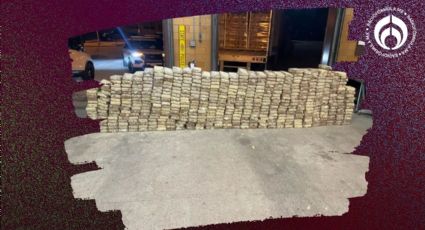 Narcos canadienses 'conquistan' EU: así trafican kilos millonarios de cocaína