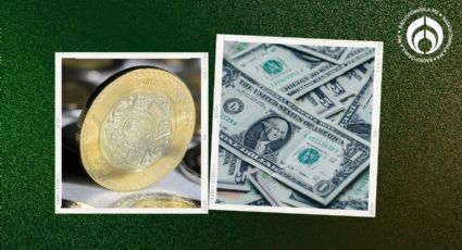 Peso 'activa defensas' ante el dólar: cierra en 20.20 este 5 de diciembre