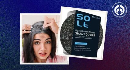 Dónde comprar barato el jabón más efectivo para cubrir las canas sin tinte y sin dañar tu cabello