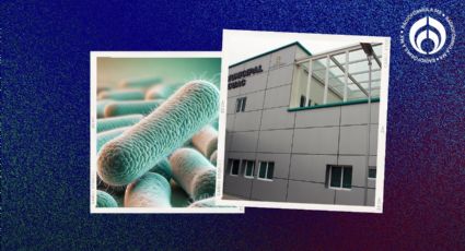 Bacteria en Edomex: ¿debemos preocuparnos por el brote de Klebsiella oxytoca? Esto dice la UNAM