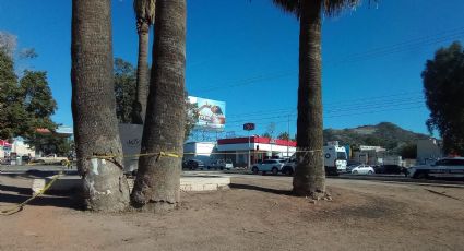 Localizan a hombre sin vida en el centro de Hermosillo