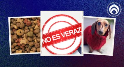 Estas croquetas no nutren a tu perro: Profeco las reprobó y seguro las has comprado