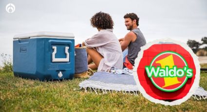 Waldo’s: resistente hielera con capacidad de 76 latas tiene un ‘descuentazo’