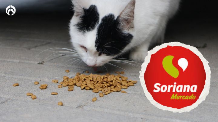 Soriana: las croquetas para gato de 3k recomendadas por Profeco por menos de 200 pesos