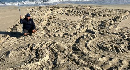 La tortuga más grande del mundo ya esta en BCS, según el Fondo Mundial para la Naturaleza