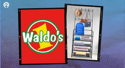 Waldo’s: clóset con zapatera de 5 repisas y 8 percheros por menos de 200 pesos