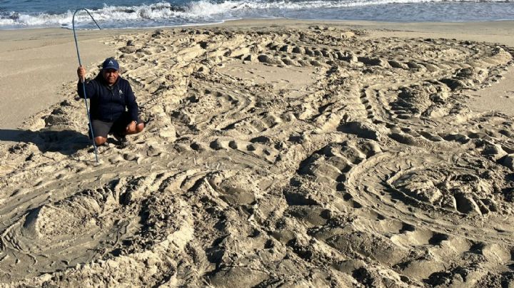 La tortuga más grande del mundo ya esta en BCS, según el Fondo Mundial para la Naturaleza