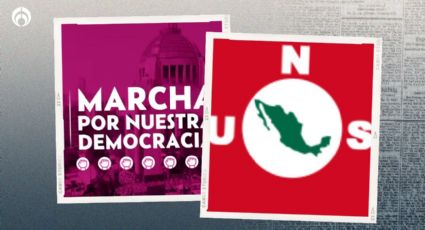 Marcha por la democracia: esta organización con un pasado nazi participará