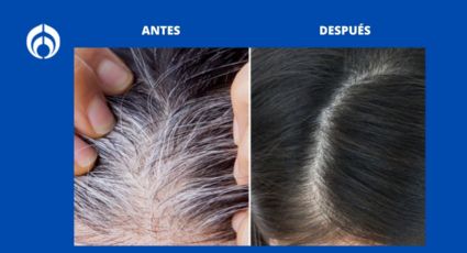 El mejor tinte de Garnier para cubrir las canas por completo y lucir un cabello joven