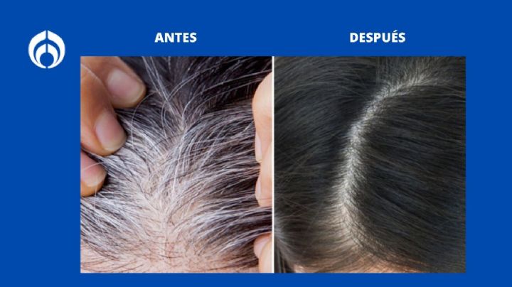 El mejor tinte de Garnier para cubrir las canas por completo y lucir un cabello joven