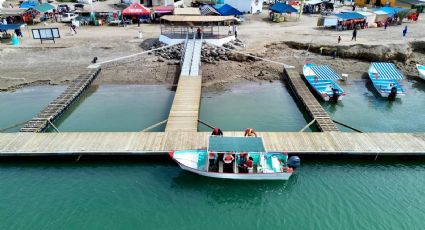 Ballena gris en BCS: Puerto Chale ya cuenta con muelle flotante para ver a los gigantes del mar