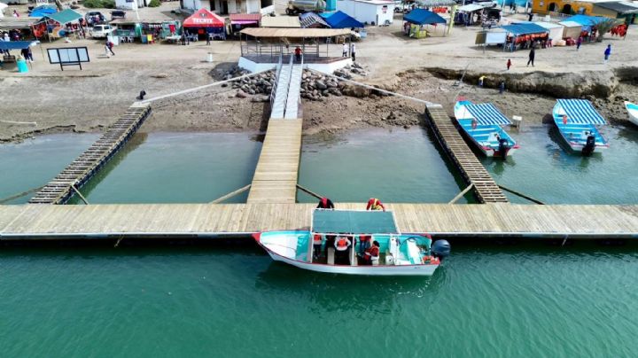 Ballena gris en BCS: Puerto Chale ya cuenta con muelle flotante para ver a los gigantes del mar