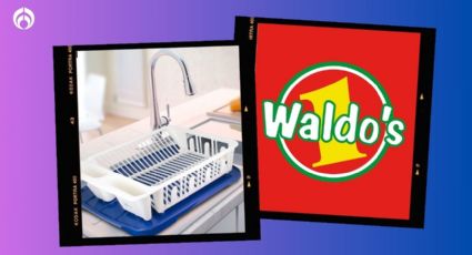 Waldo's pone en rebaja este escurridor de trastes de plástico perfecto para tu cocina