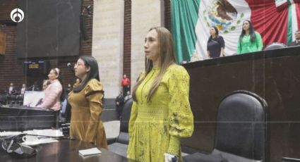 El Partido Verde rechaza la violencia obstétrica y legisla en favor de las  mujeres