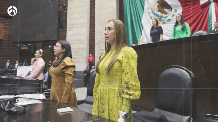 El Partido Verde rechaza la violencia obstétrica y legisla en favor de las  mujeres