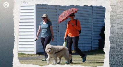 Clima hoy martes 20 de febrero: Frente Frío 36 ‘aterriza’ con heladas, vientos locos ¿y calorones?