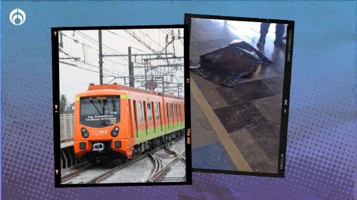 Metro CDMX: muere perrito atropellado en la Línea 12