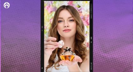 Elektra pone a mitad de precio el perfume Dolce&Gabanna floral frutal de los más vendidos